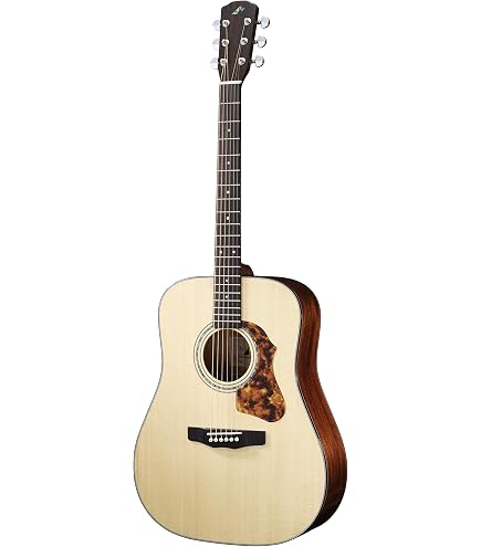 Amazon.co.jp: Morris (モーリス) アコースティックギター M-82 NAT